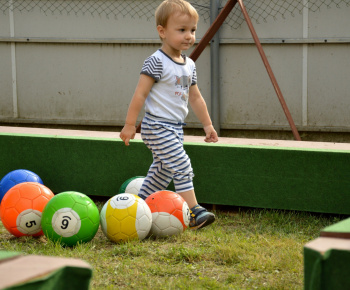 Kiállítás - Výstava 2011