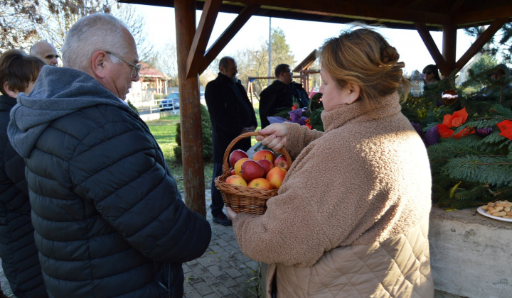 11. fotografia fotogalérie Advent2 - 2024