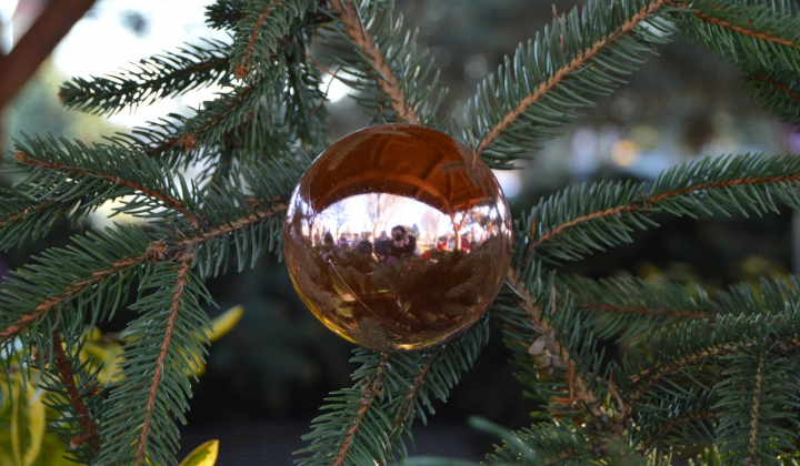 15. fotografia fotogalérie Advent2 - 2024