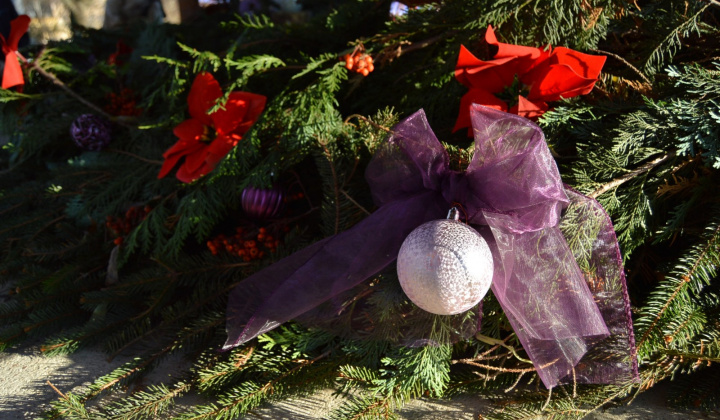 18. fotografia fotogalérie Advent2 - 2024