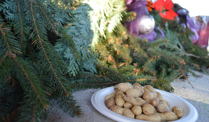 Advent2 - 2024