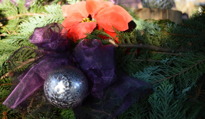Advent2 - 2024